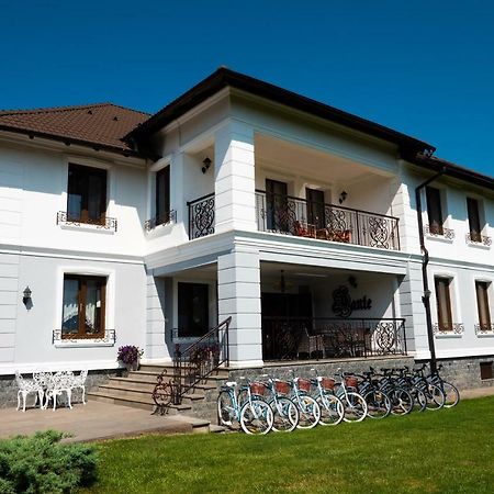 Conacul Dante Hotel Pianu de Jos Exterior photo